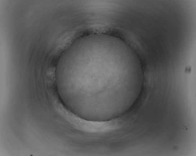 X0000111220034200907021346