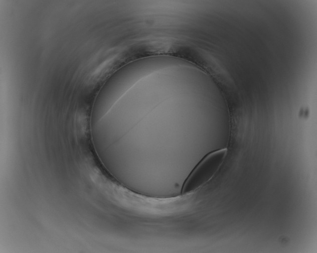 X0000111220035200907021346