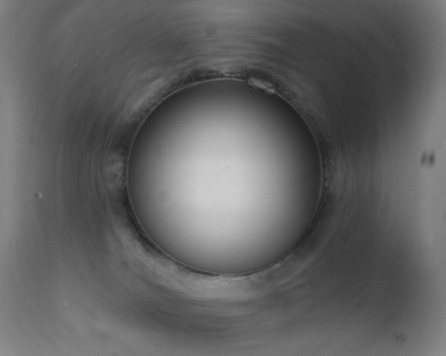 X0000111220036200907021346