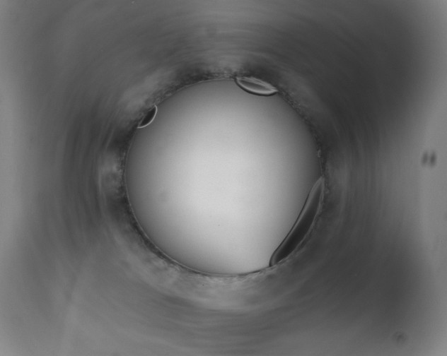 X0000111220037200907021346