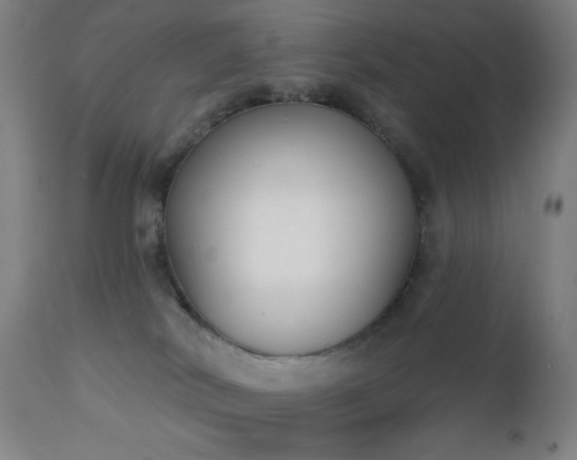 X0000111220038200907021346