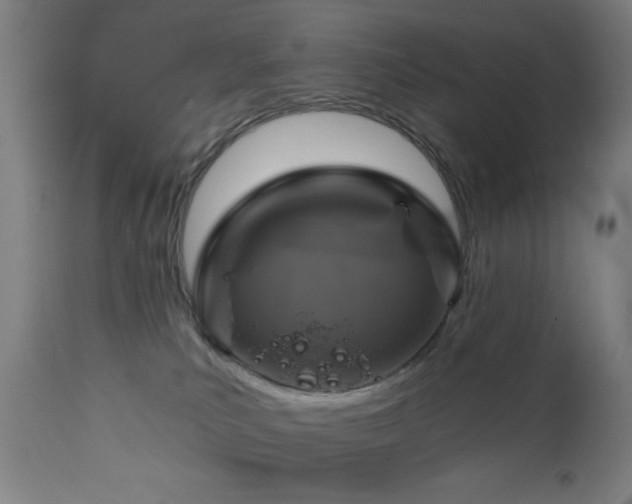 X0000111220039200907021346