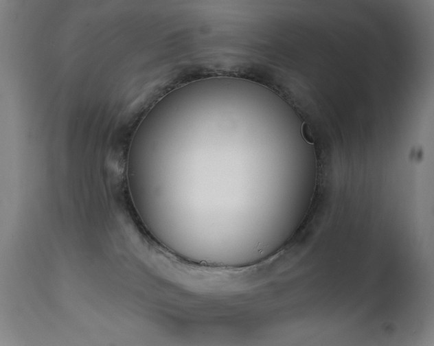 X0000111220040200907021346