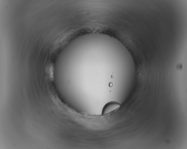 X0000111220042200907021346