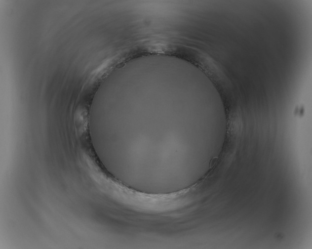 X0000111220043200907021346