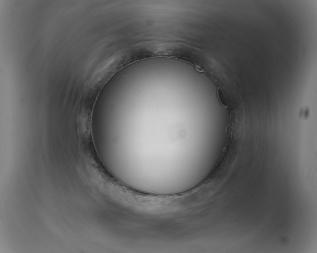 X0000111220044200907021346