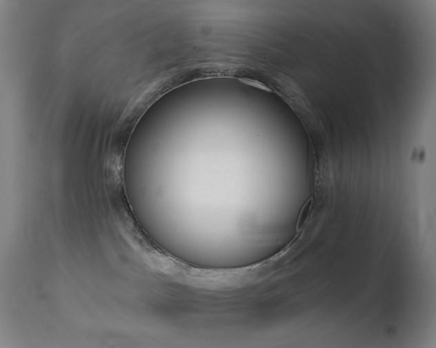 X0000111220045200907021346