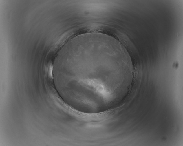 X0000111220046200907021346