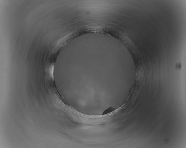 X0000111220047200907021346