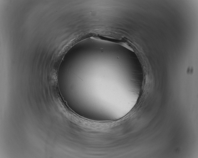 X0000111220048200907021346
