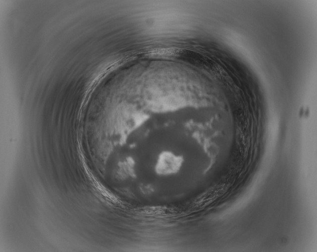 X0000111220049200907021345