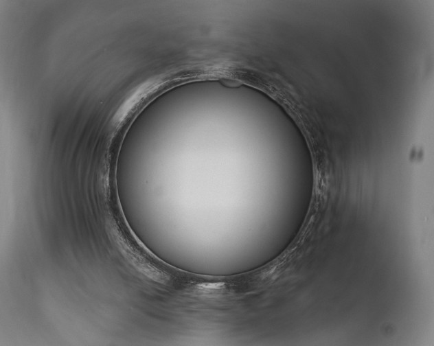 X0000111220054200907021345