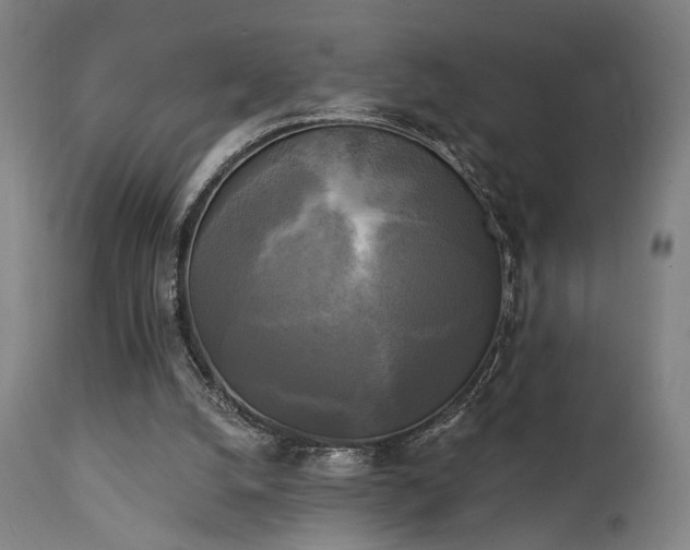 X0000111220056200907021345