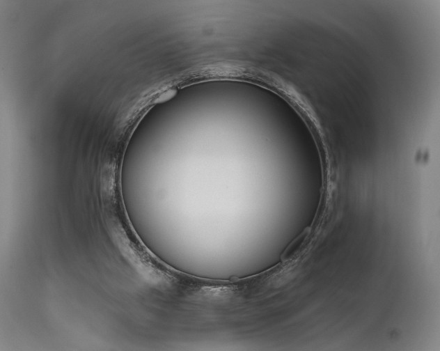 X0000111220057200907021345
