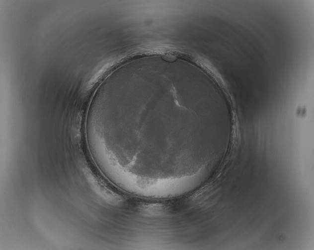 X0000111220058200907021345