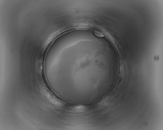 X0000111220059200907021345