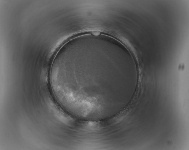 X0000111220060200907021345