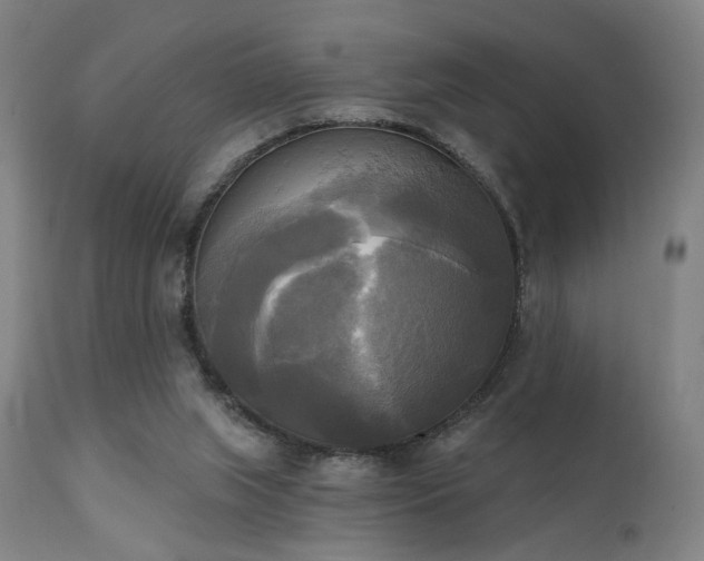 X0000111220063200907021345