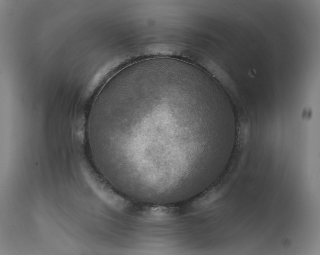 X0000111220064200907021345