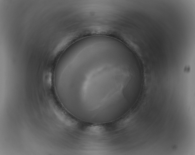 X0000111220067200907021345