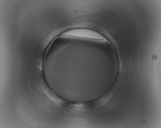 X0000111220068200907021345