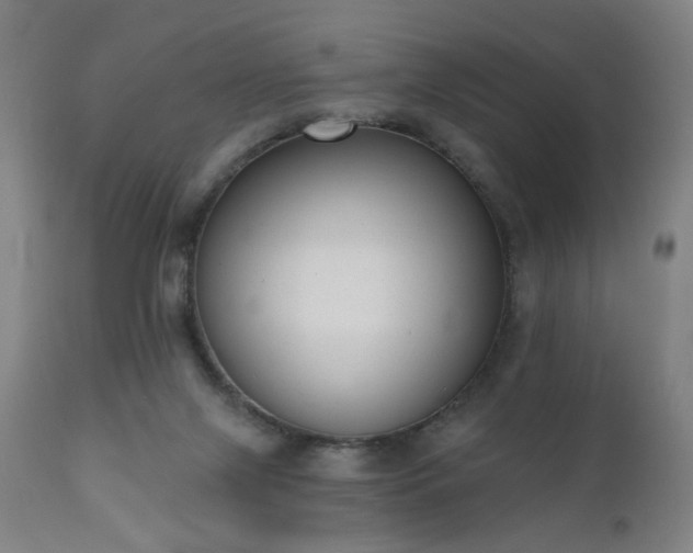 X0000111220071200907021345