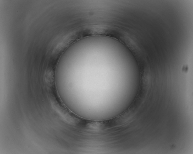 X0000111220079200907021345