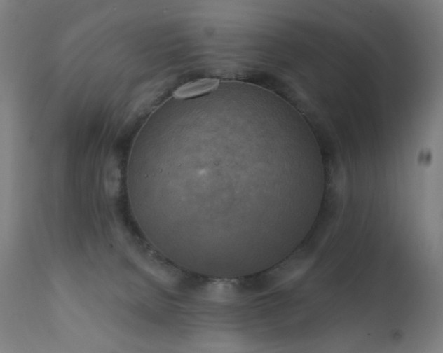 X0000111220080200907021345