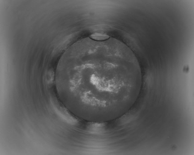 X0000111220081200907021345