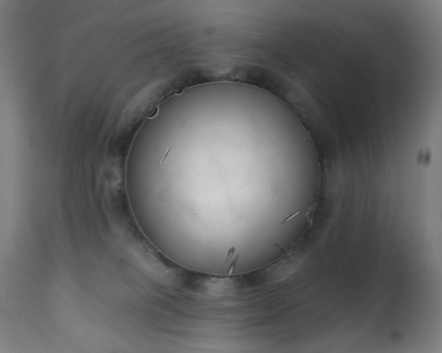 X0000111220085200907021345
