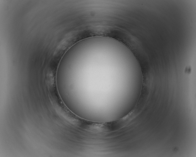X0000111220086200907021345