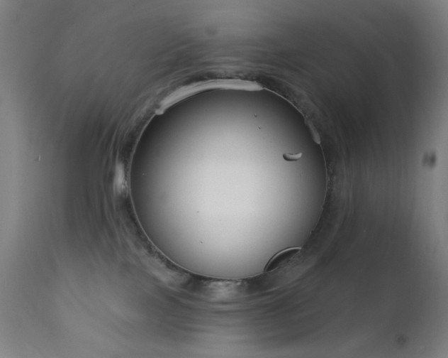 X0000111220089200907021345