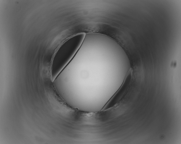 X0000111220092200907021346