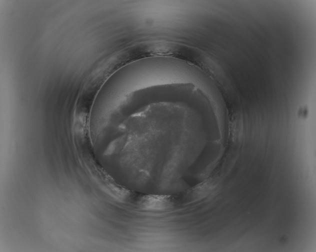 X0000111220093200907021346