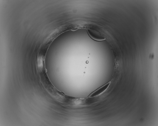 X0000111220094200907021346