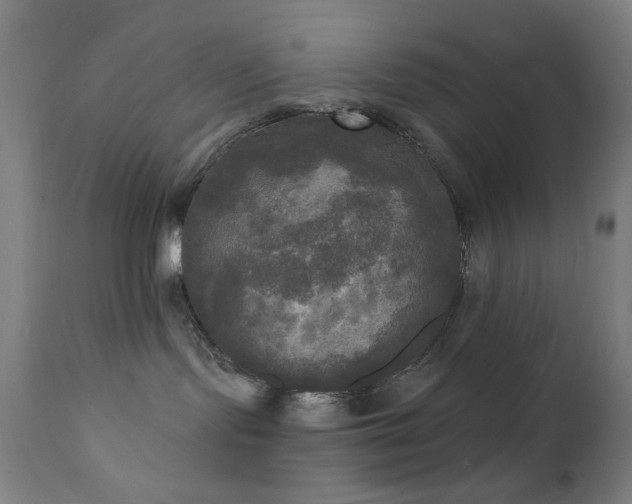 X0000111220095200907021346