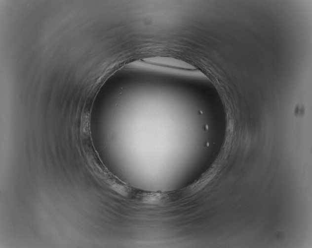 X0000111220096200907021346