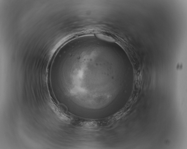 X0000111220100200907021345