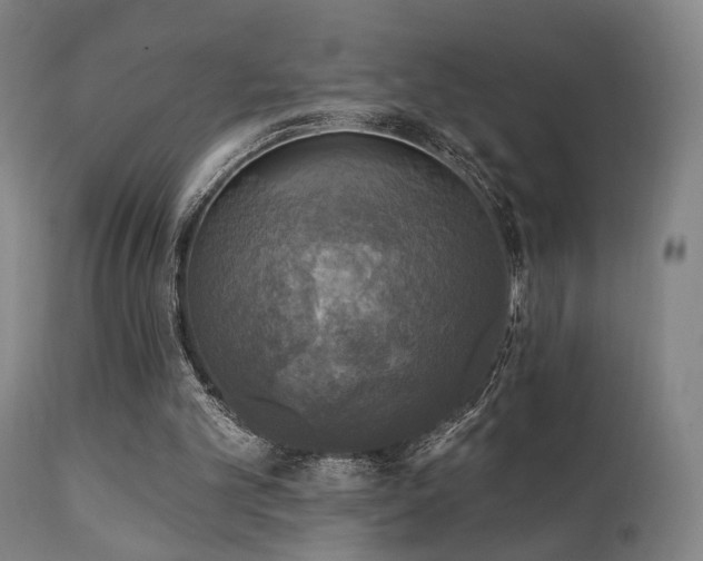 X0000111220101200907021345