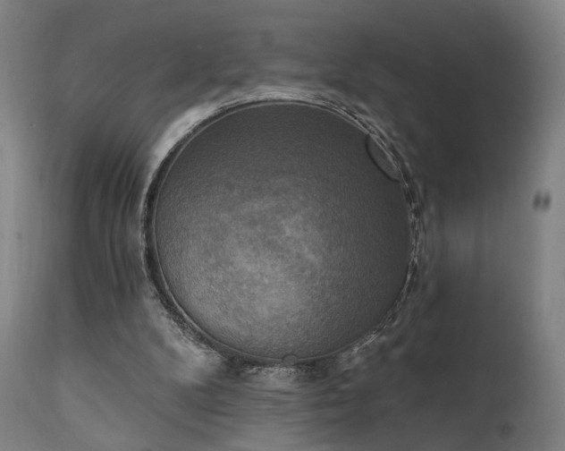X0000111220104200907021345