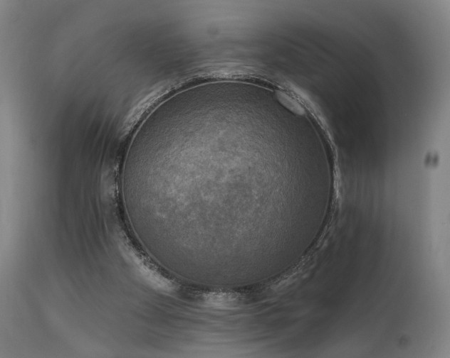 X0000111220105200907021345