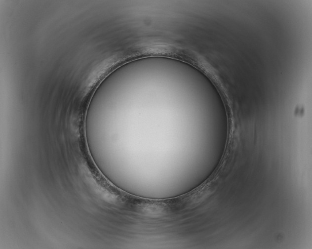 X0000111220106200907021345