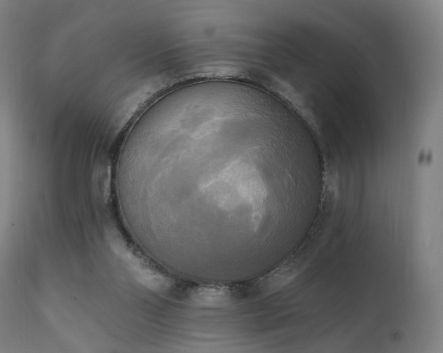 X0000111220110200907021345