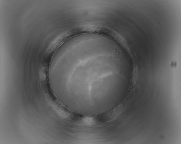 X0000111220114200907021345