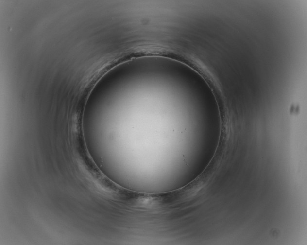 X0000111220117200907021345
