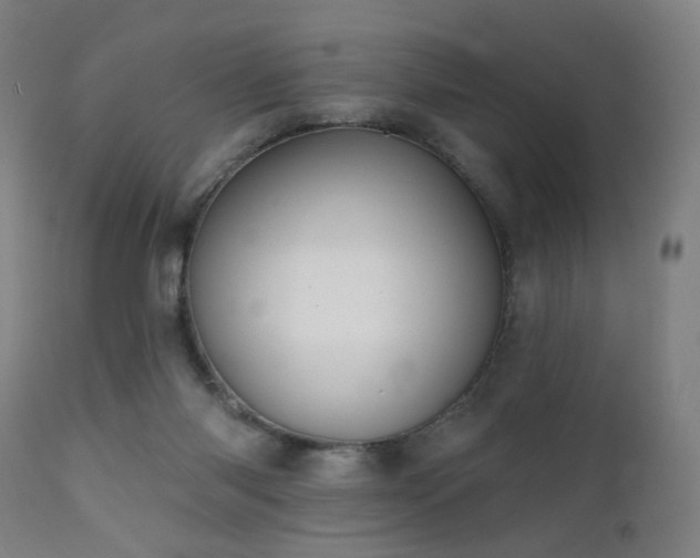 X0000111220118200907021345