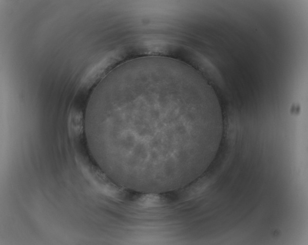 X0000111220123200907021345