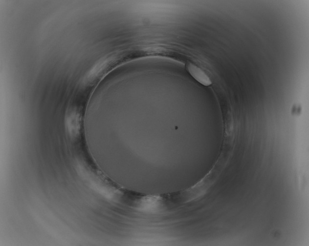 X0000111220124200907021345