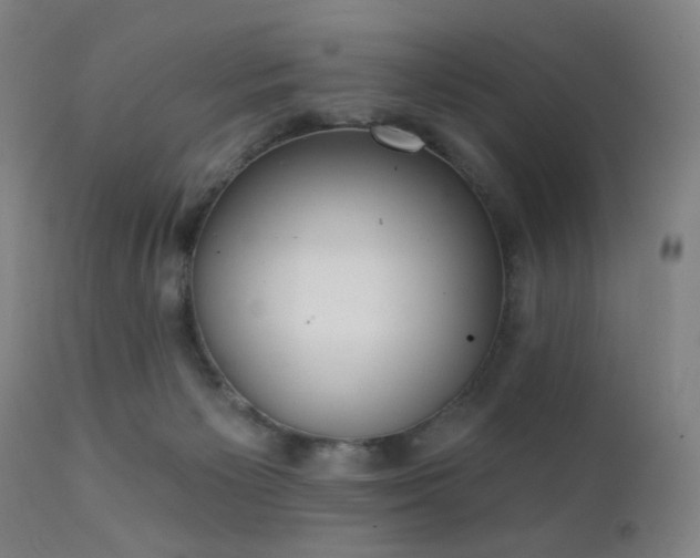 X0000111220125200907021345