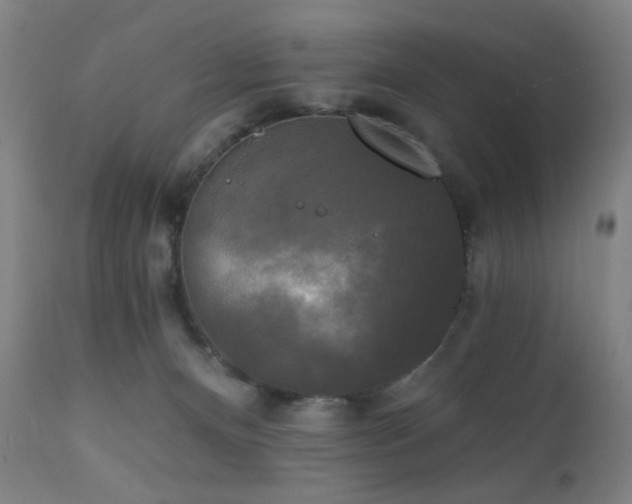 X0000111220128200907021344